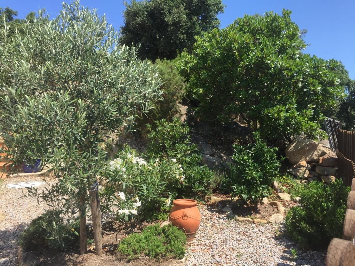 Villa Gardenia Mit Pool Und Traumhaftem Meerblick Santa Cristina d'Aro Dış mekan fotoğraf